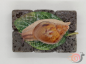Preview: Achatina Achatina Wild